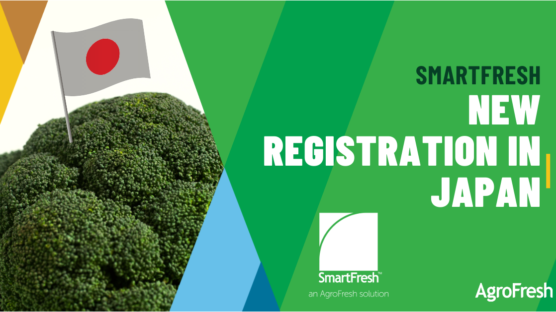 Japanese Ministry of Agriculture Grants New Approval for Broccoli Solutions