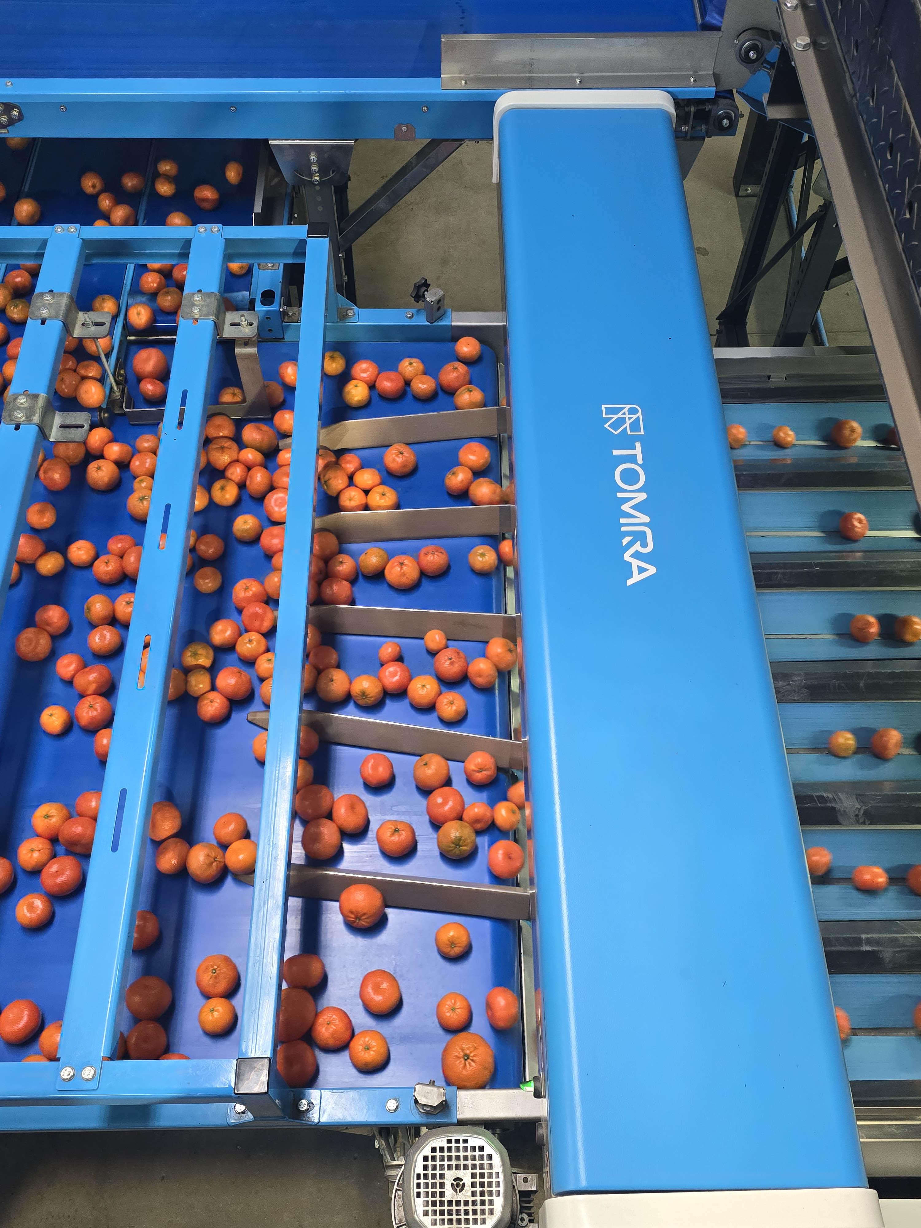 Tomra Citrus producer Sunriver Citrus significantly increases sorting ...