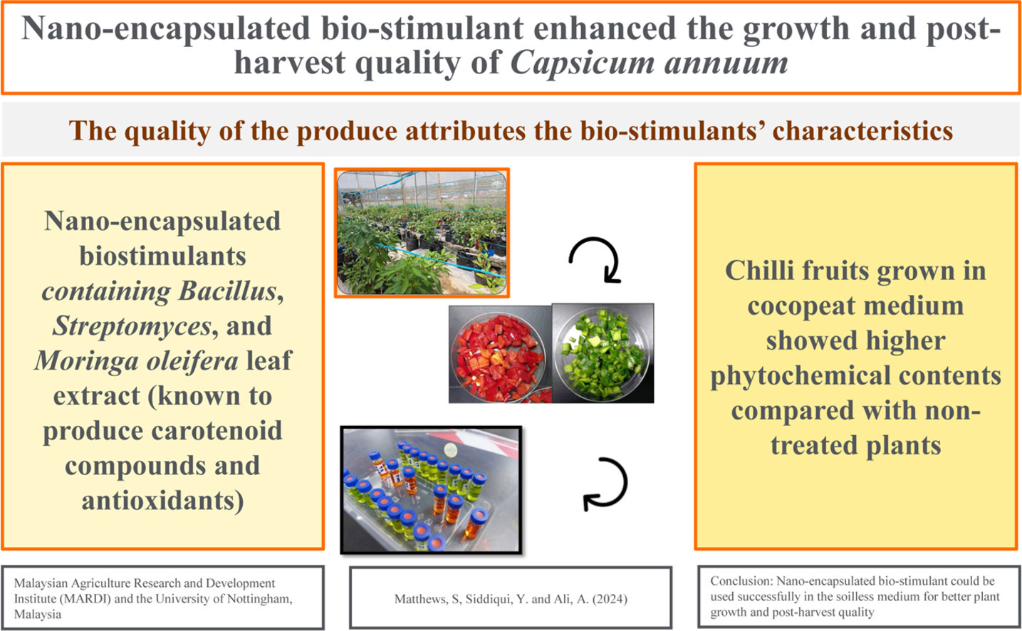 Nano-encapsulated biostimulants positively influence the phytochemical  content in chilli fruits