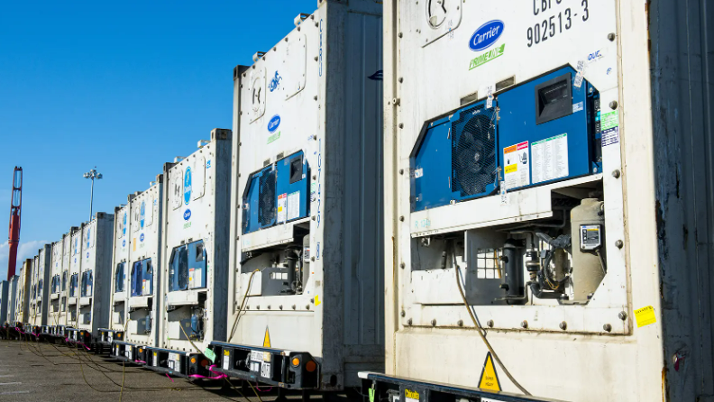 Reefer Racking Post Fresh produce reefer market and potential areas for future exploration