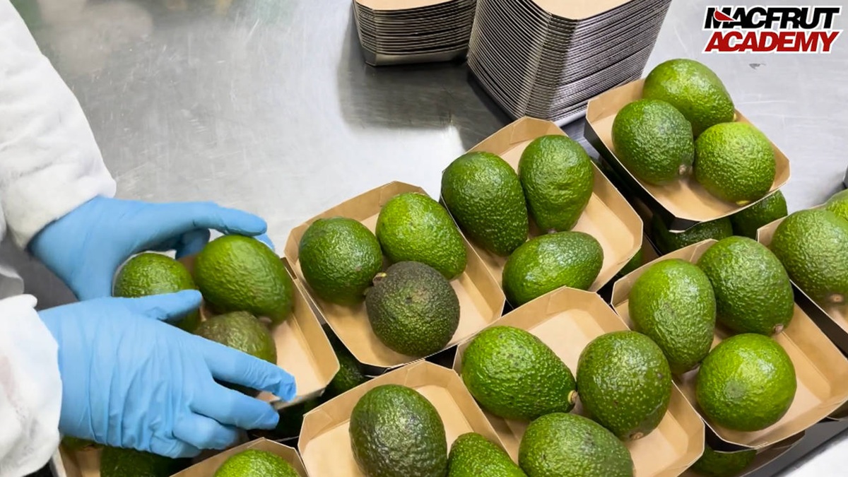 macfrut-mango-avocado-explosion.jpg