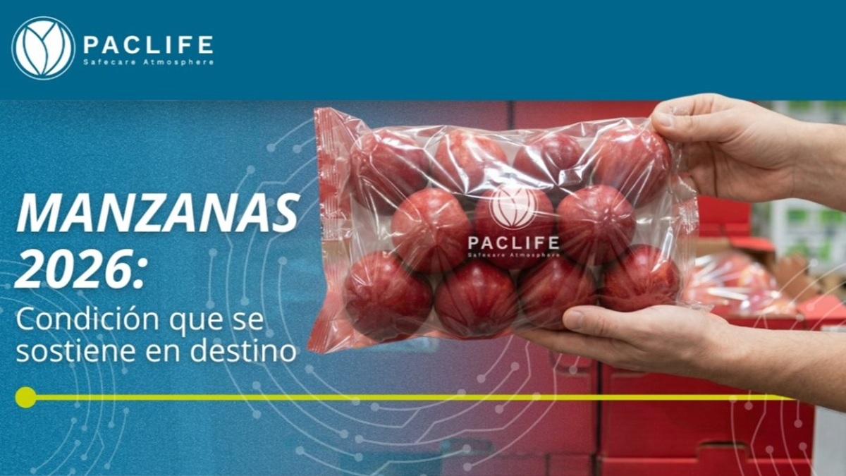 manzana-poscosecha-campana-2026-chile.jpg