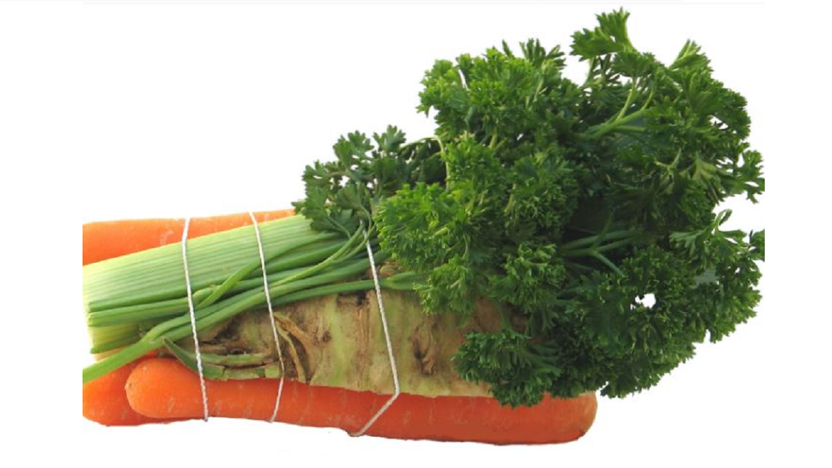 VeBind SroTec Bundling systems, for a full range of produce