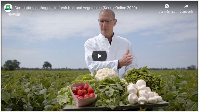 wageningen-raw-veg