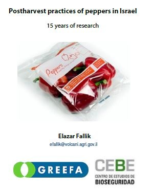 fallik-pepper