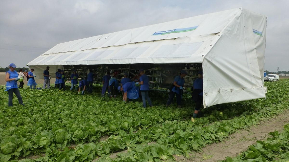 The multi-purpose Harvesting / Planting Rigs and extended shelf life ...
