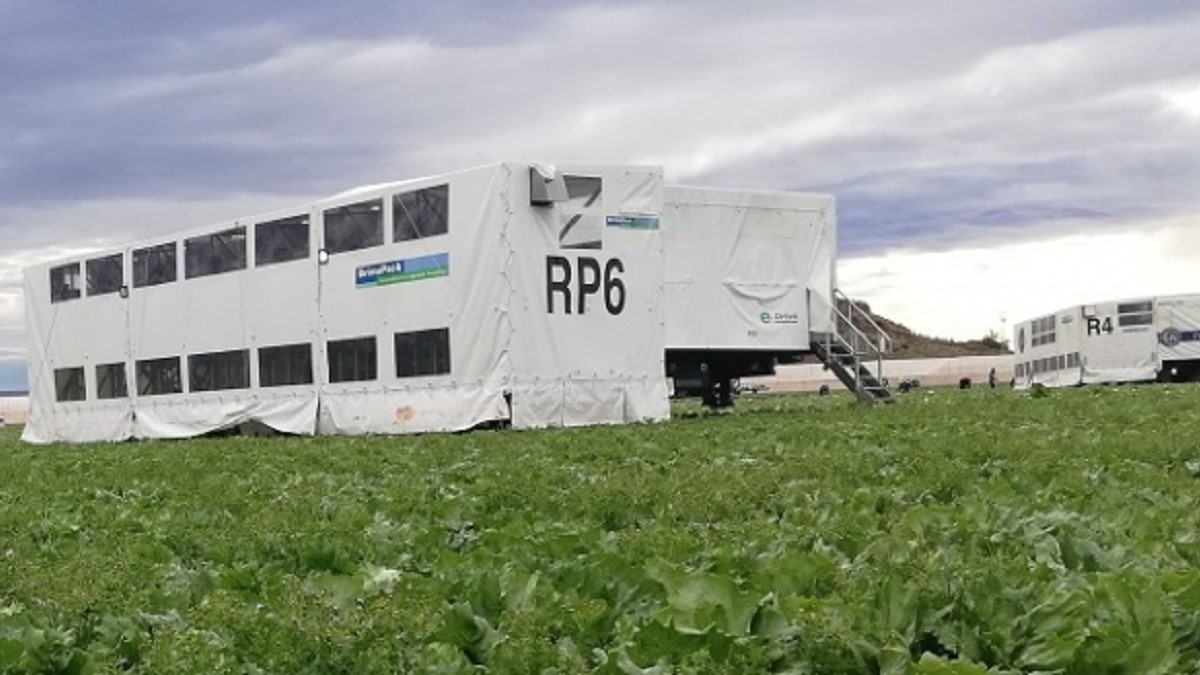 Another Automated Iceberg Harvesting Rig for Las Primicias