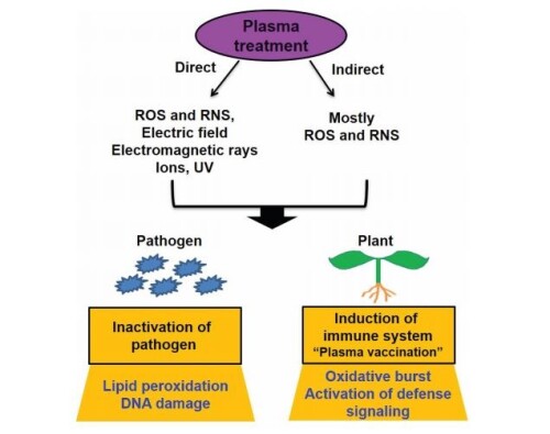 Potential of plasma technology to control pathogens both in field and ...