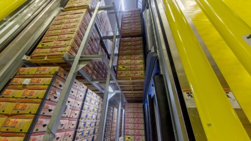 A smarter approach to monitoring & management of fruit storage facilities