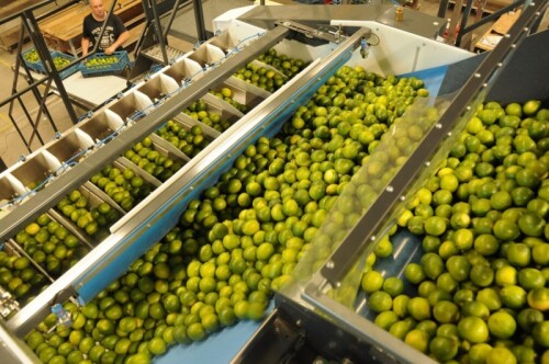 Choosing the right packaging equipment for your processing line
