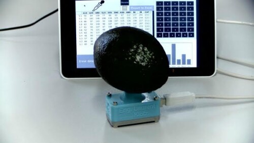 Avocado meter