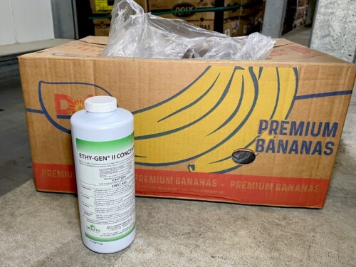 ETHY-GEN® II Ripening Concentrate expands to Netherlands for banana ...