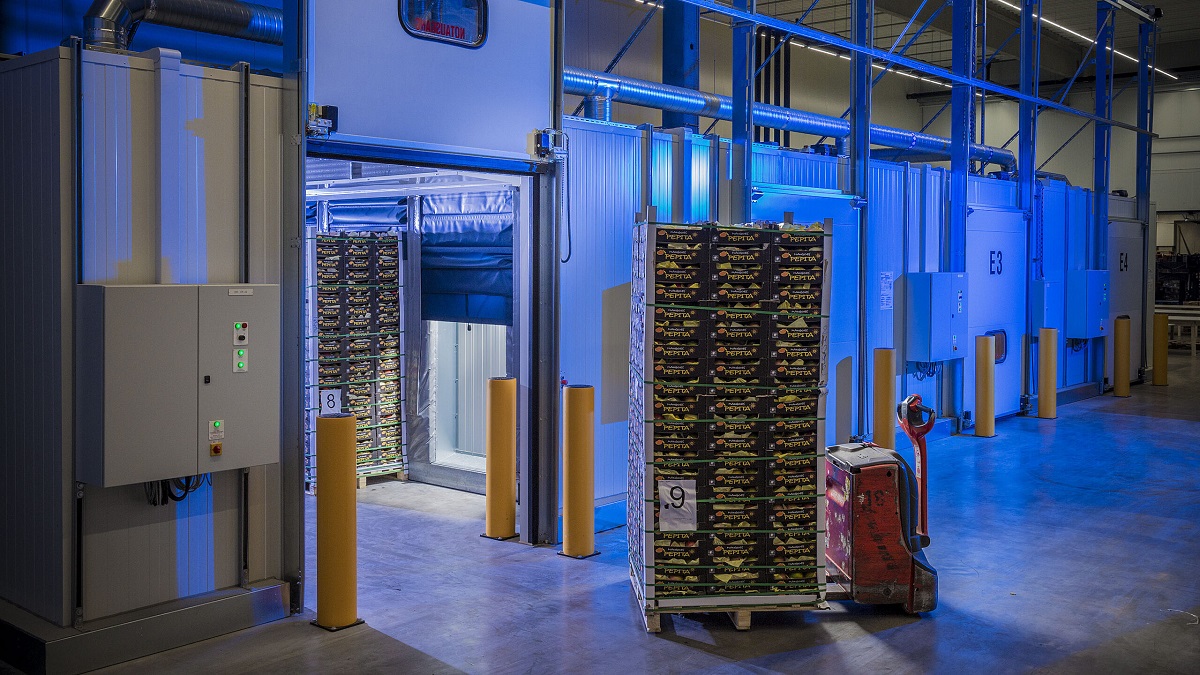 Star Ripe Produce Transit Ripening System Ripe Pilot to Cut Ripening Room Energy Costs
