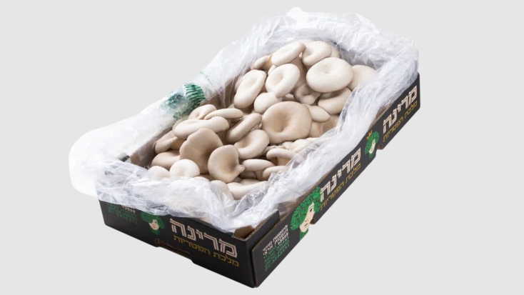 Xtend®: Revolutionizing Exotic Mushroom Packaging in Israel