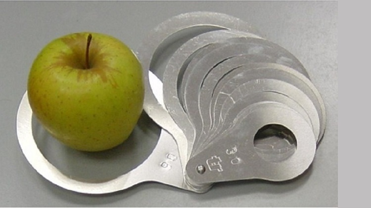Fruit rings sizers