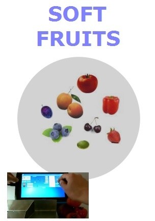 Instruments for quality assessment of cherry, peach, tomato, berries ...