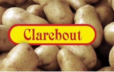 clarebout