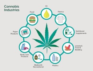 cannabis-industries