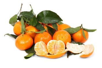 citrus-2395-640