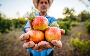 apple-man-800x500