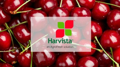 cherry-harvista-agrofresh