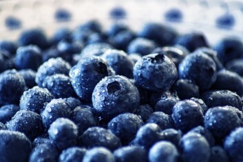 blueberries-g13456c748-1280