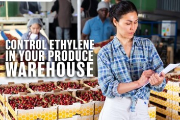 control-ethylene-warehousing-1024x683