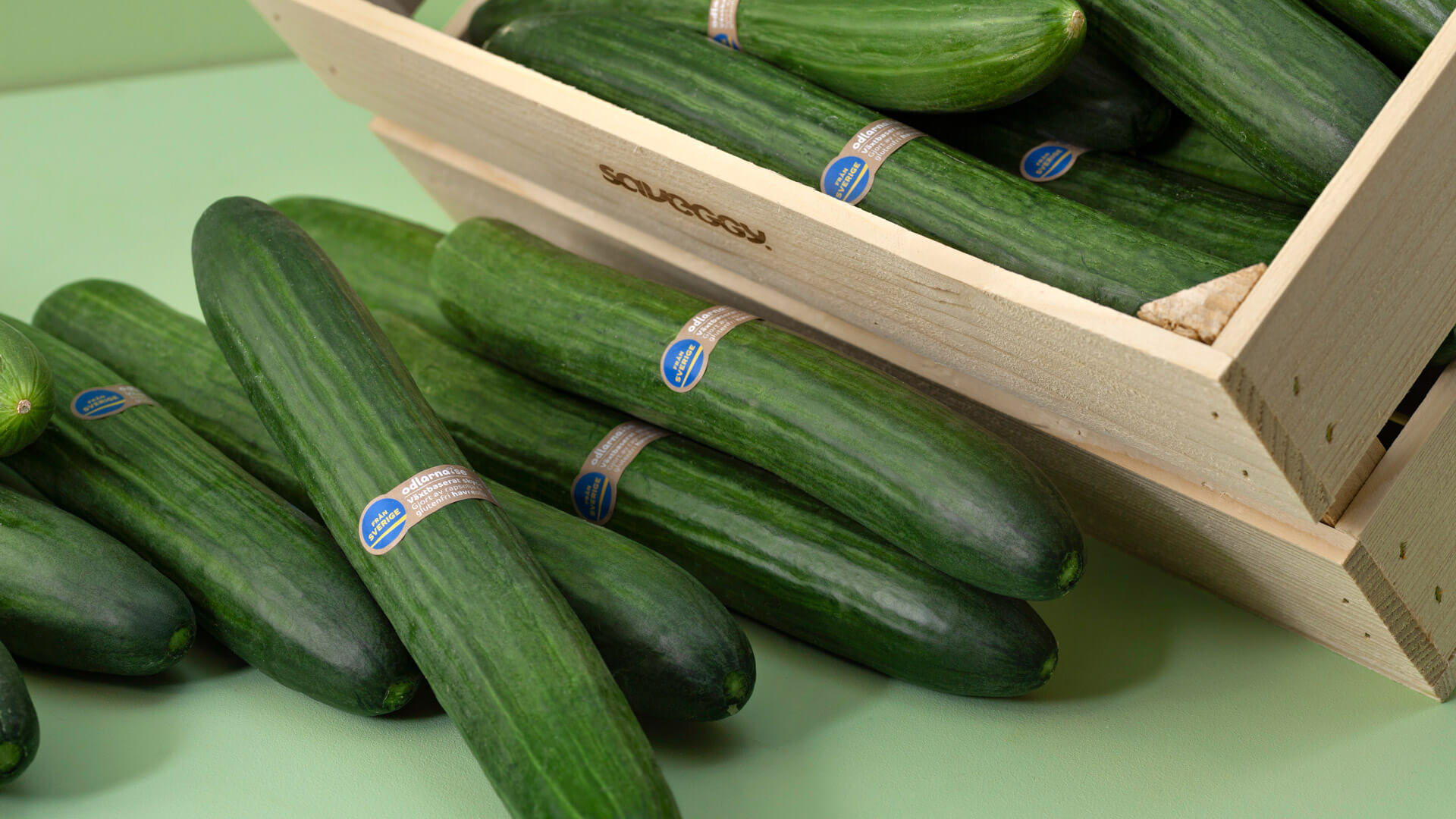 edible-coating-cucumbers-alternative-plastic-film.jpg