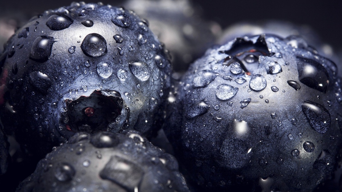 humedad-relativa-fruta-gotas-agua.jpg