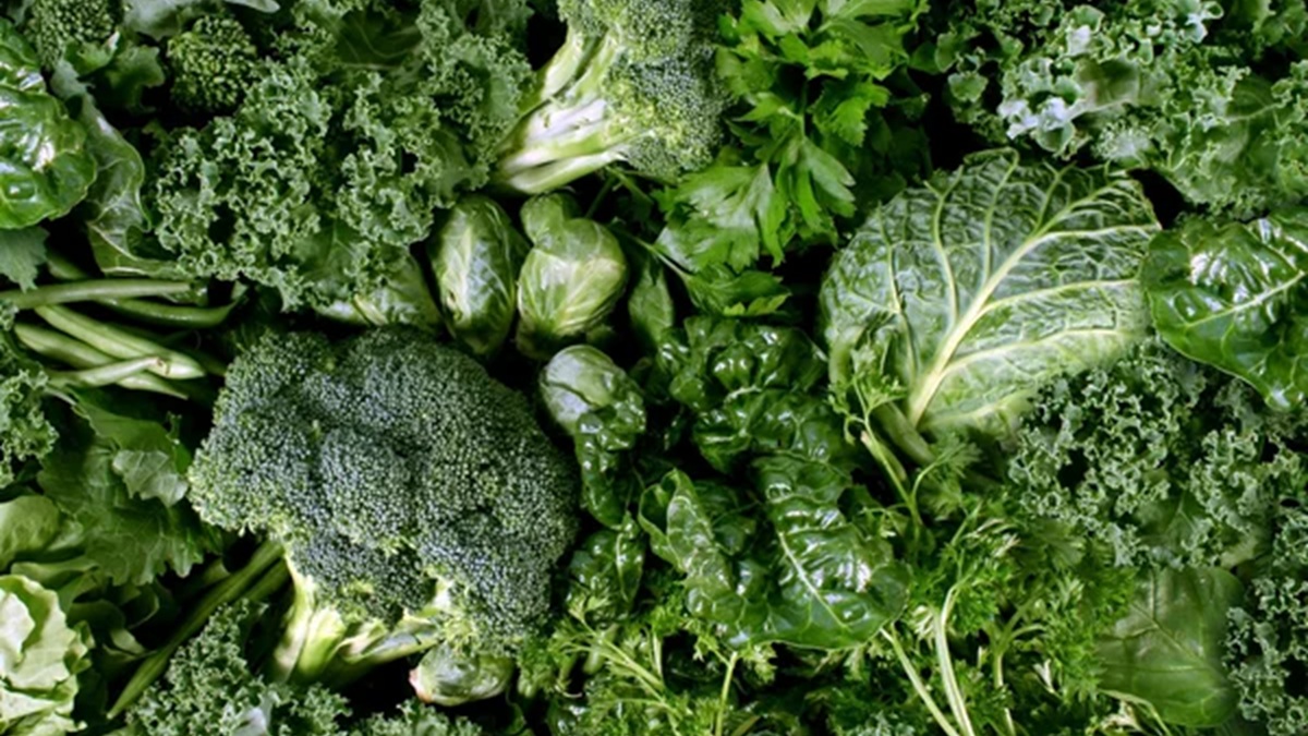 vacuum-cooler-verduras-aptas.jpg