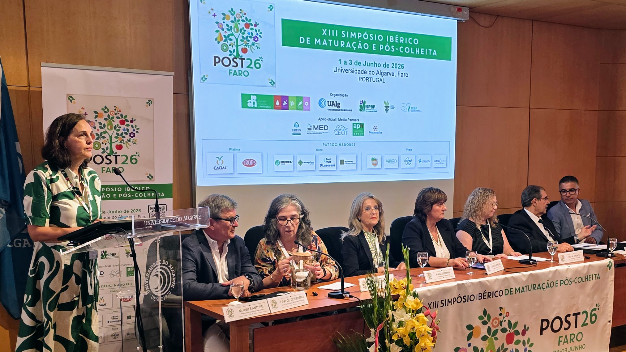 Posts-26-Inicio.jpg