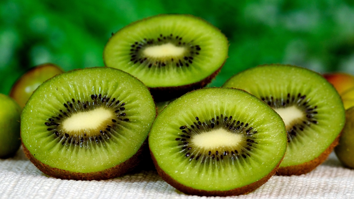 ignartonosbg-kiwi-6718889.jpg