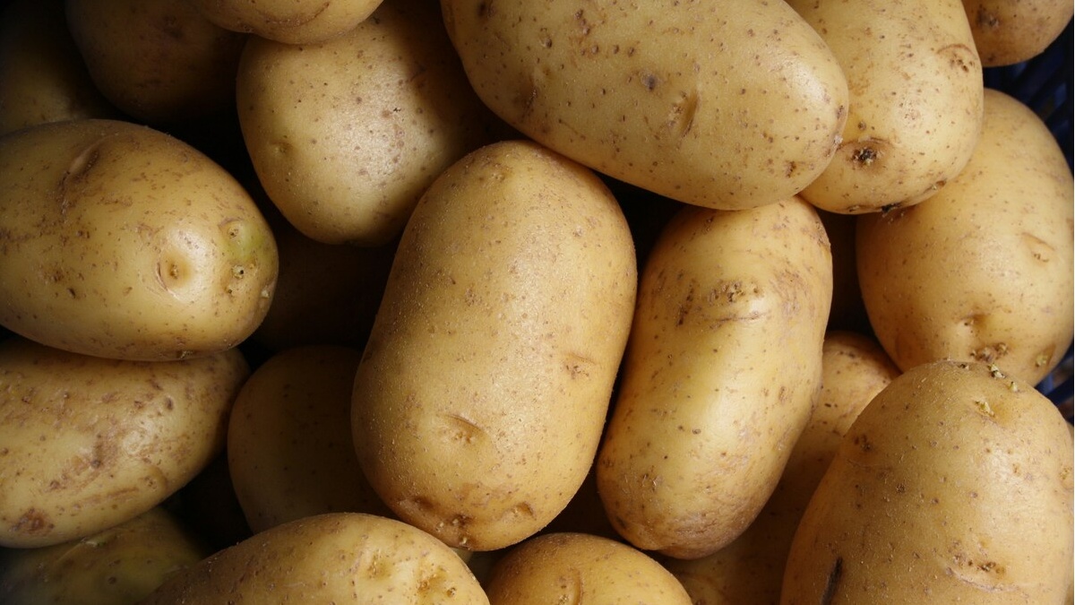 potatoes.jpg
