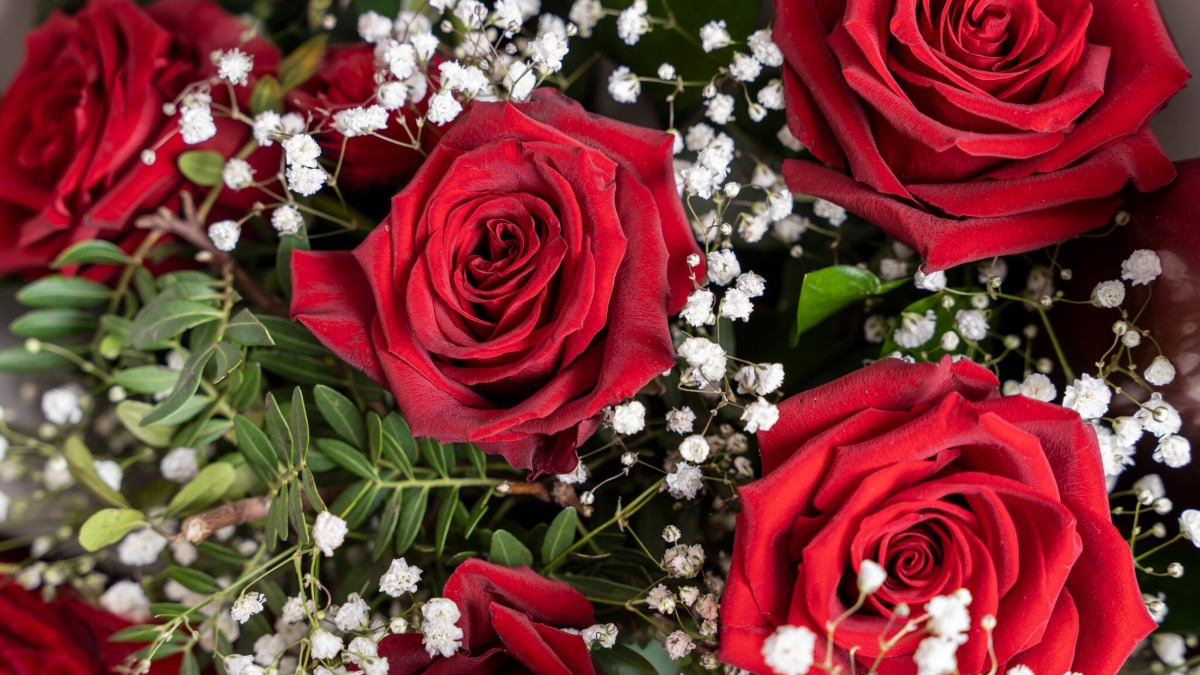 Conservacion-de-flores-Ilerfred-2048x1365.jpg