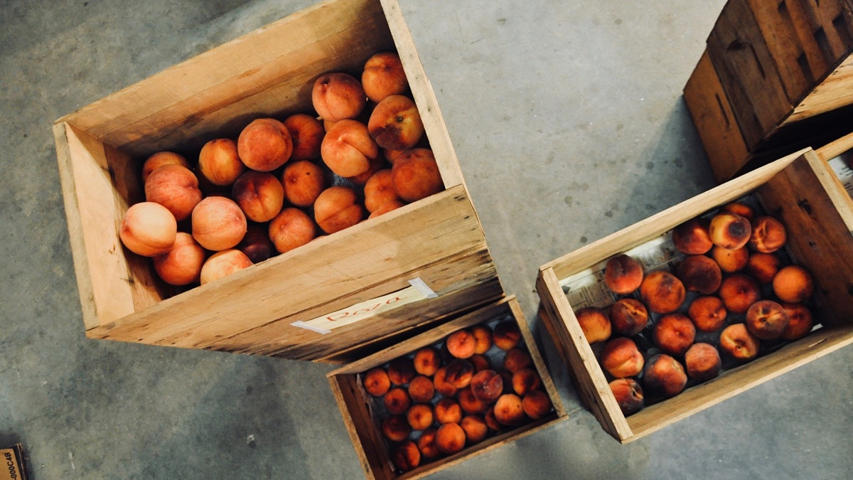dariasophia-peach-3425656.jpg