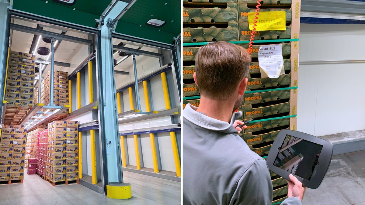 interko-ripening-rooms-fruit-maturation-technology.jpg
