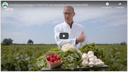wageningen-raw-veg