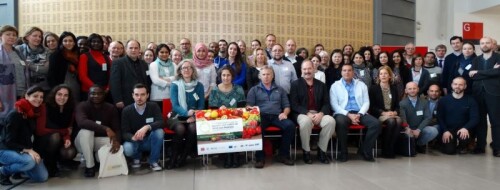 colelli-curso-2